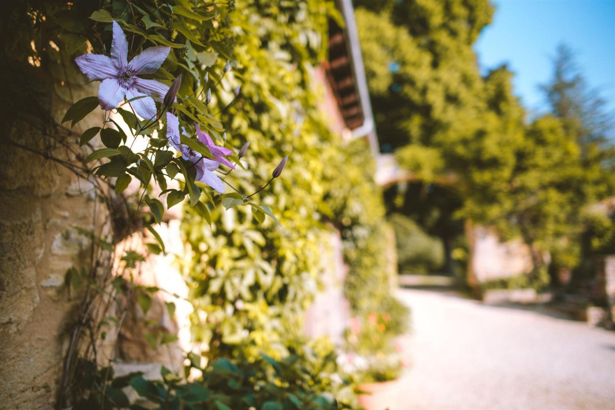 Domaine De Cournet Haut, A 17Th Century Property Set On A Calm, Idyllic Domain With Pool, Tennis, Bikes And More Les Vauries Zewnętrze zdjęcie